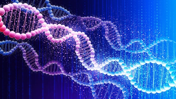 DNA strand