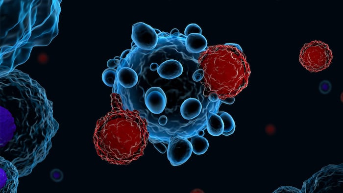 3d illustration of immune system T cells attacking cancer cells (CAR T-cell therapy) - Illustration
