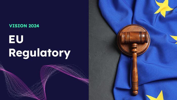 Vision 2024: EU Regulatory