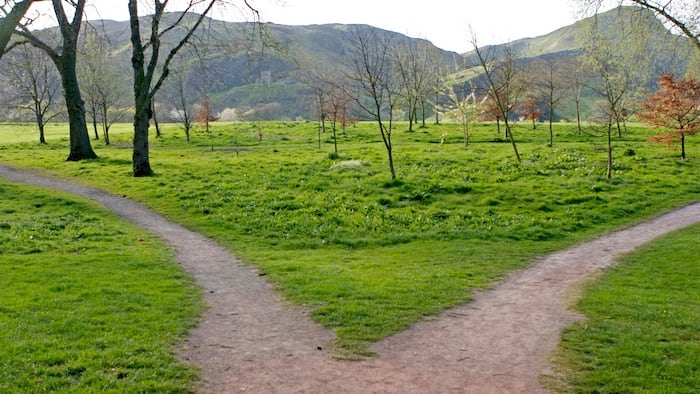 Path fork