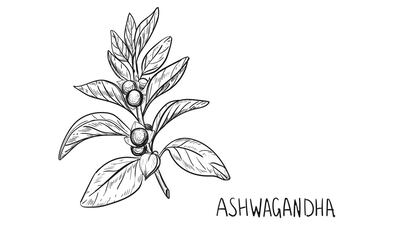 UK Follows EU’s Lead In Scrutinizing Ashwagandha Safety In Supplements
