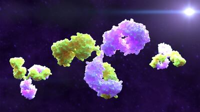 Merck Steps Into CD19 Bispecific Antibody Ring With Curon Deal