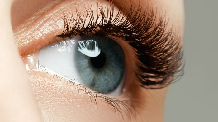 Female eye with long eyelashes close up. Closeup shot of female gray - blue colour eye with day makeup. Beauty female eye with curl long eyelashes