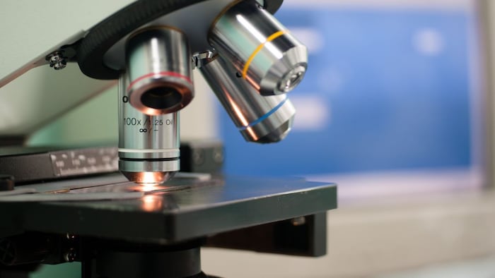 microscope