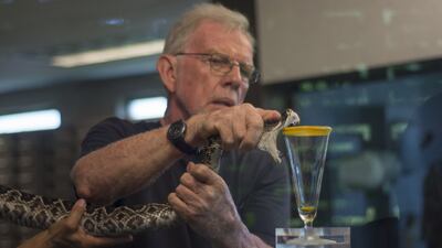 £80m To Tackle Snakebite Is A Wellcome Boost