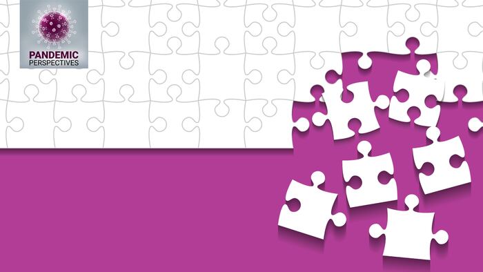 puzzle pieces with Pandemic Perspectives logo