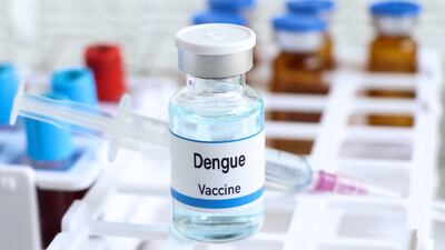 Dengue Swells As US Vaccine Prospects Recede
