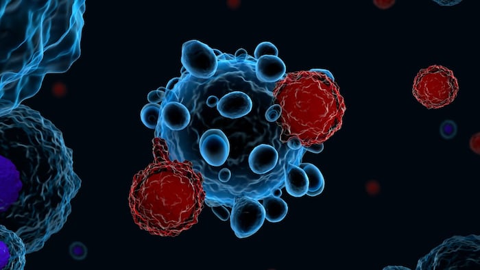 CAR-T cells