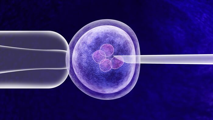 Gene editing in vitro genetic CRISPR genome engineering medical biotechnology health care concept with a fertilized human egg embryo.