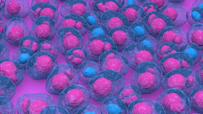 Myeloma multiplex leukemia cancer 3d color render isometric view