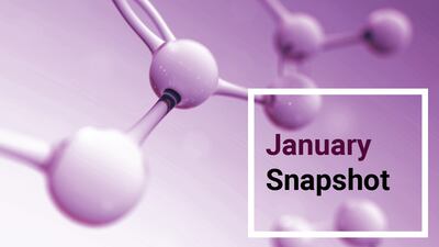 Snapshot: January Highlights