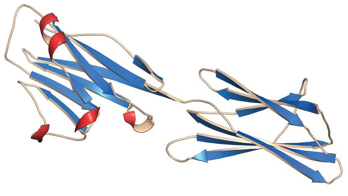IV1609_Biomarkers_1200x675