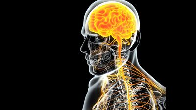 CGT Is In Its Infancy For CNS Disorders, But Technical Strides Being Made
