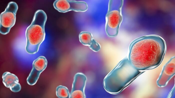 Clostridium