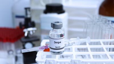 Early Strides for Takeda’s Qdenga In Brazil, India Deal Adds New Dimension