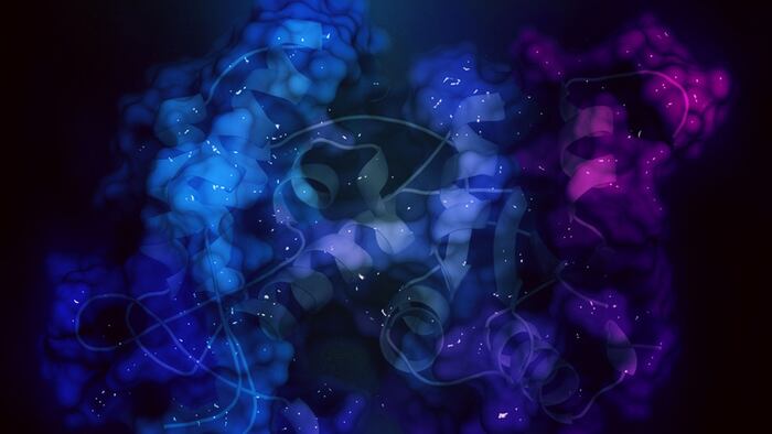 CD38_Enzyme_642347347.jpg