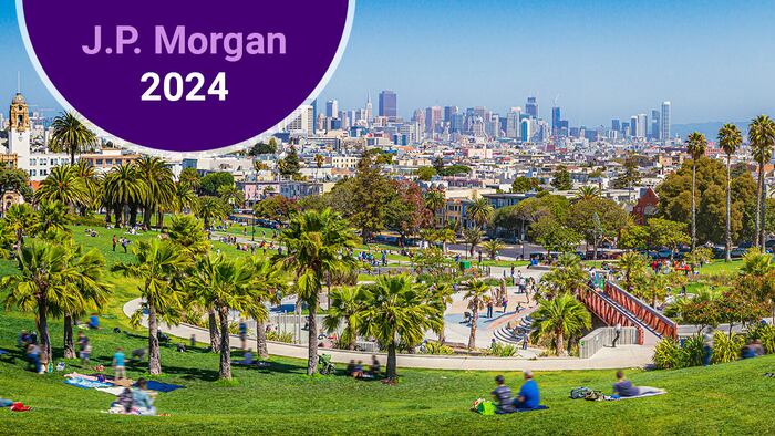 J.P. Morgan 2024
