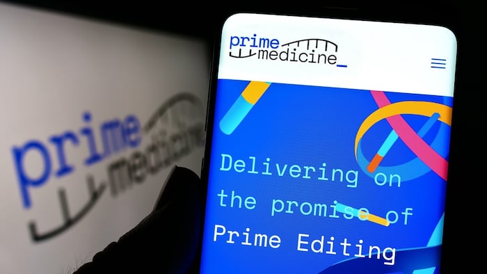 Prime Medicine gene editing company