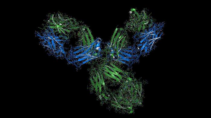 Pembrolizumab molecule