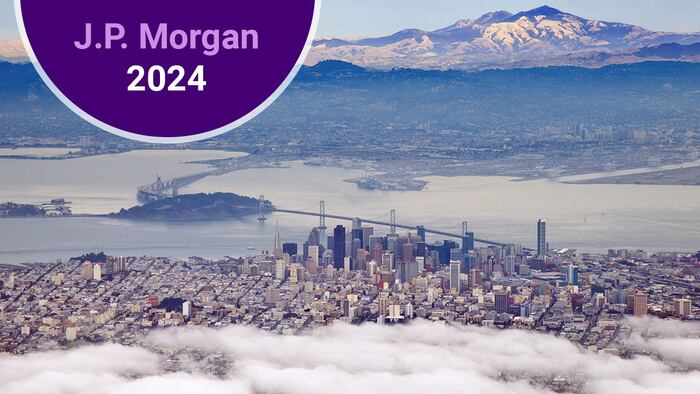 J.P. Morgan 2024