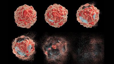 ASCO 2024 In Review: A Webinar With Citeline Analysts
