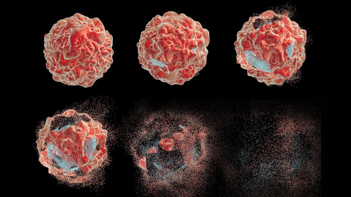 Series of images showing different stages of destruction of a tumor cell. 3D illustration. Can be used to illustrate effect of drugs, medicines, microbes, nanoparticles