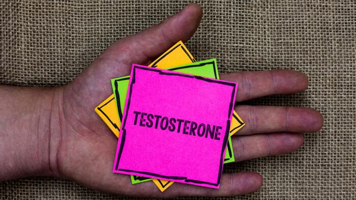 Text sign showing Testosterone. Conceptual photo Male hormones development and stimulation sports substance Holding small pitches art papers thoughts ideas memories mat black shadow. - Image