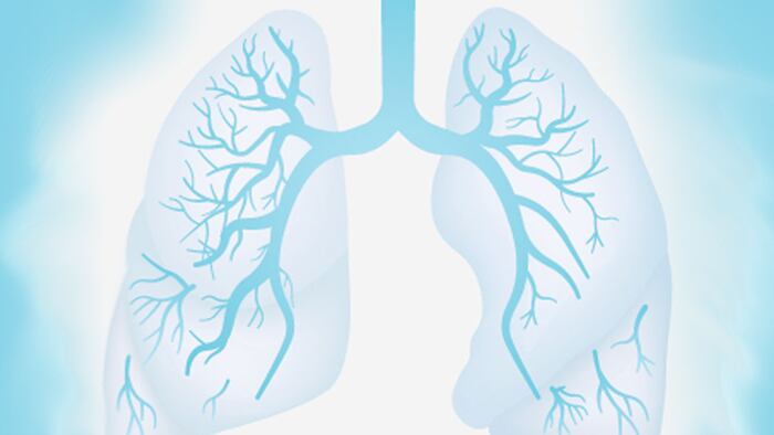 lung illustration
