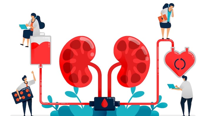 CKD Reata image