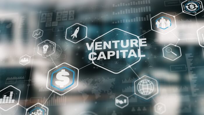 Venture capital. Long term business investment