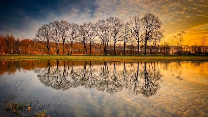 Reflection in water