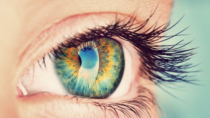 Eye