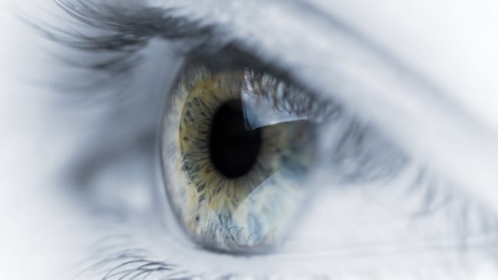 Human eye