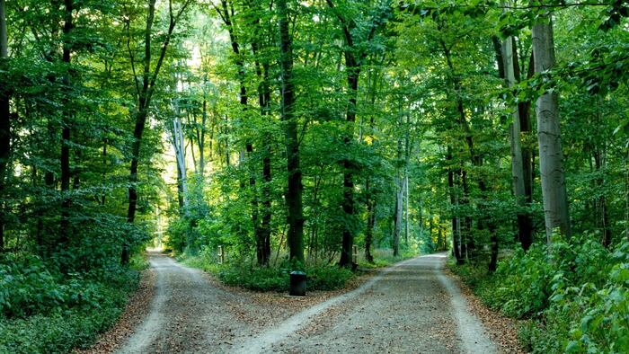 Two Roads