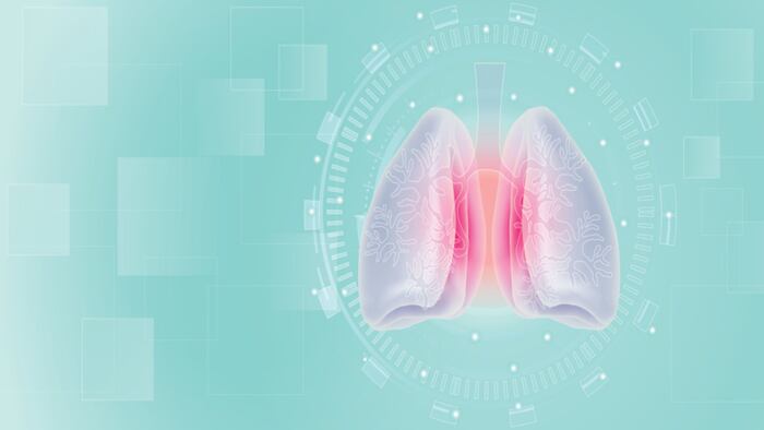 Lungs icon, anatomy, health care concept