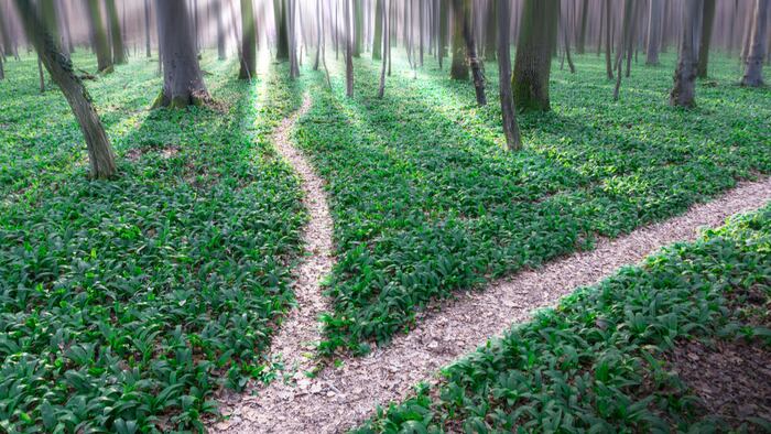 Paths