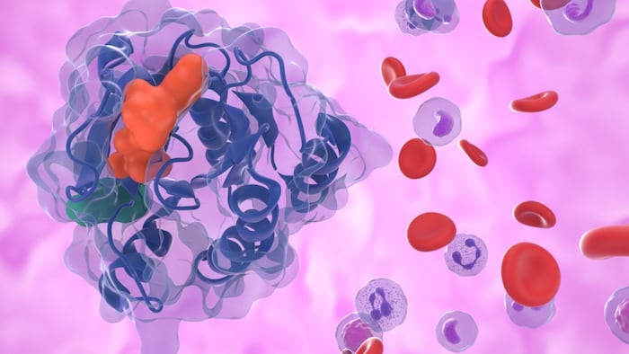 KRAS G12C protein