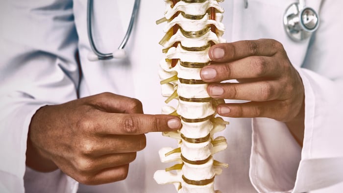 Spine