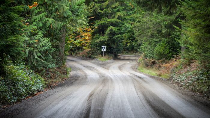 Empty dirt road which splits in two, concept for life choices or decisions