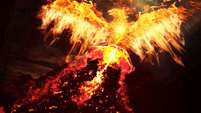 Phoenix rising