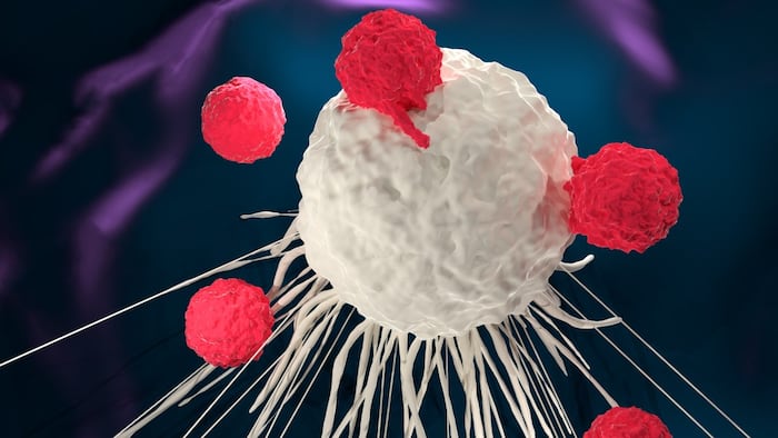 CAR-T cell