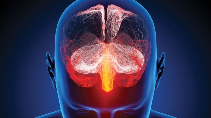 Human brain illustrated with millions of small nerves - Conceptual 3d render