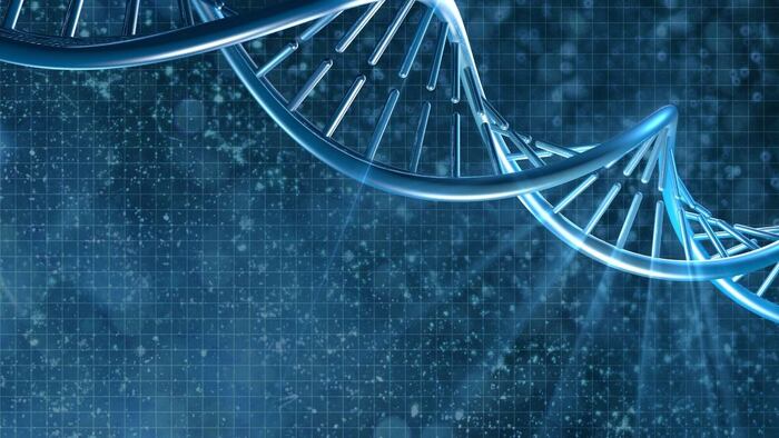 DNA
