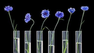 Arcaea CEO On Biotech’s Promise: Sustainable, Yes, But Ingredient Performance Will Drive Adoption